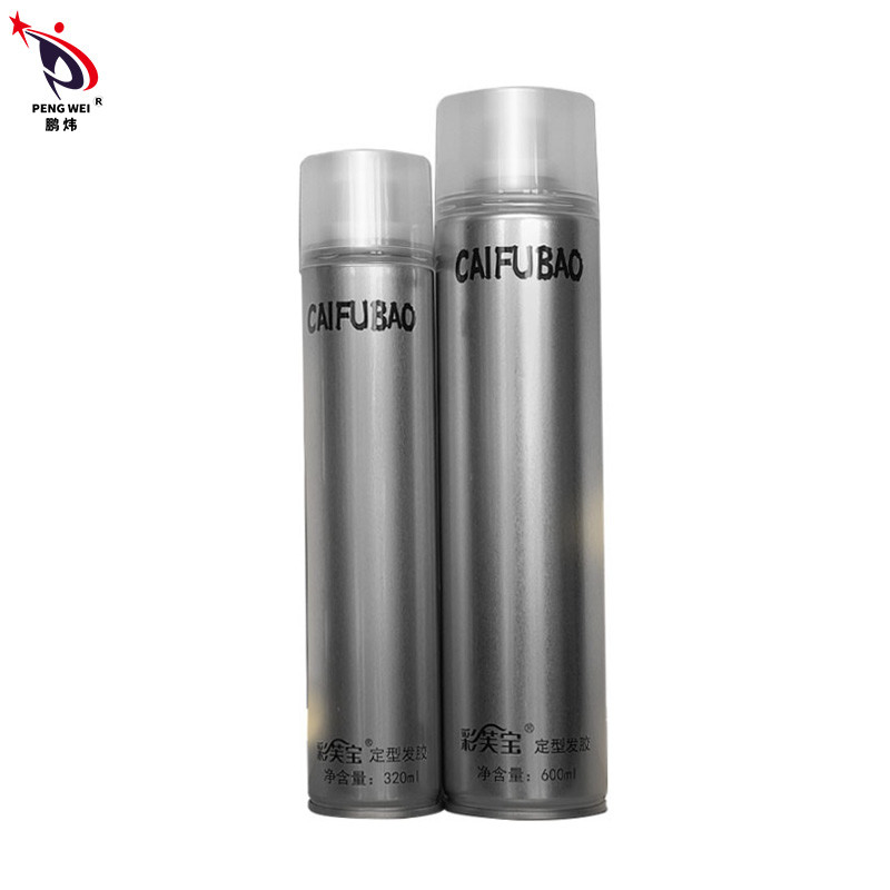 ISO9001 EN71 Hairspray van de 24 uren Sterke Greep glanst Haar het Stileren Holdingsnevel 65*240