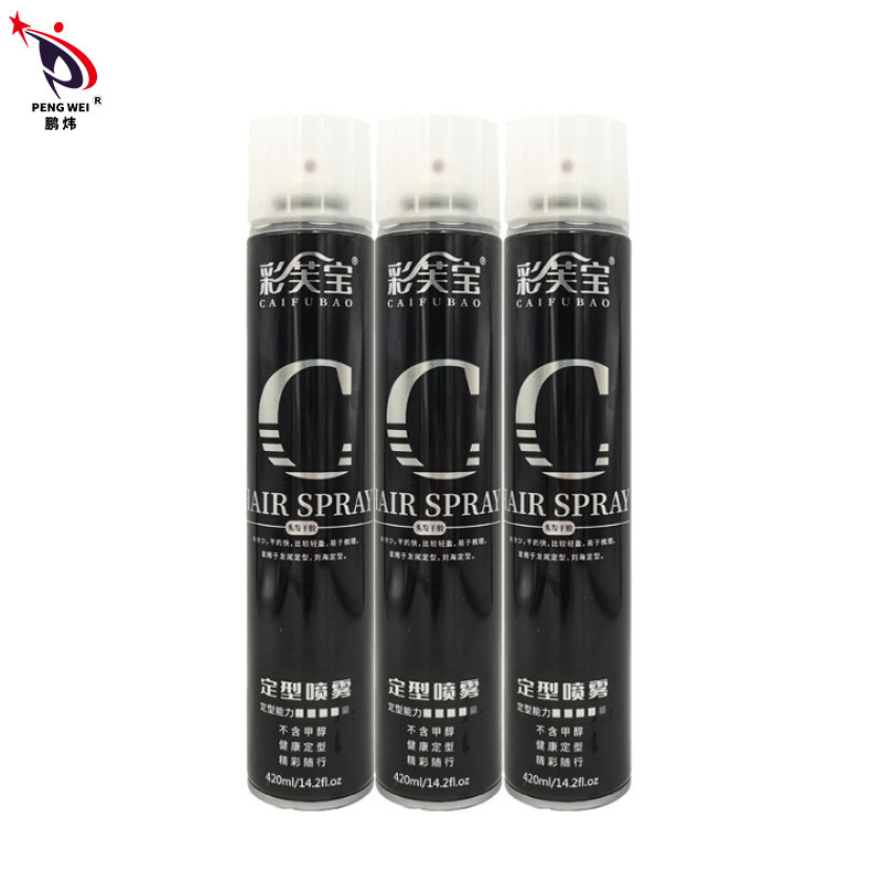 ISO9001 EN71 Hairspray van de 24 uren Sterke Greep glanst Haar het Stileren Holdingsnevel 65*240